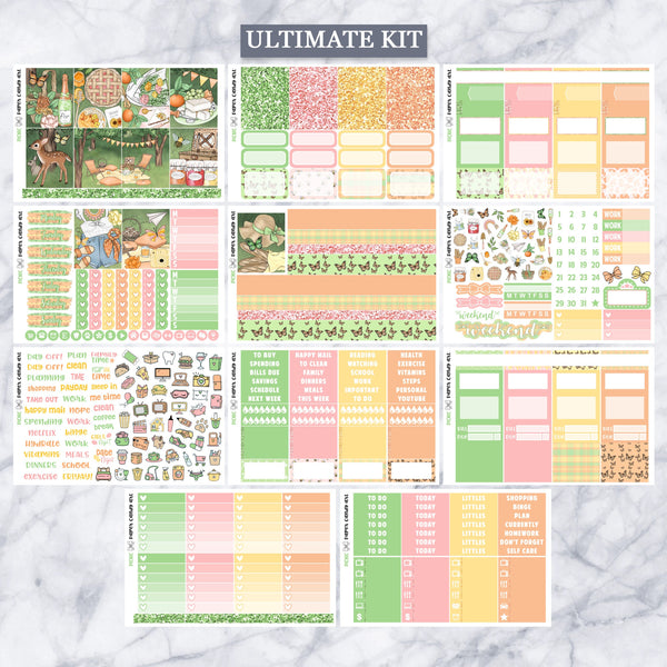 EC Kit Picnic // Weekly Planner Stickers Kit // Erin Condren