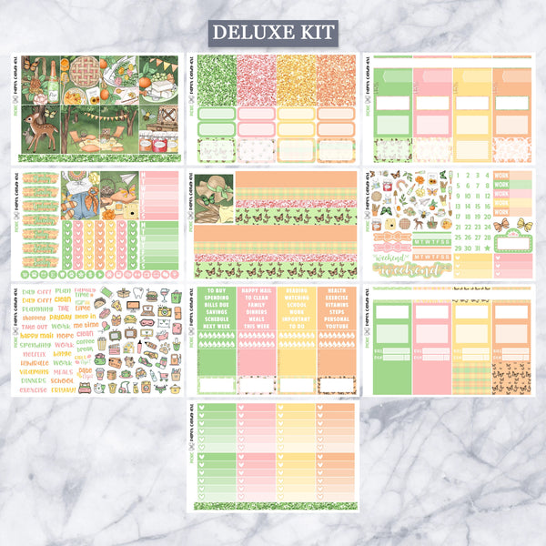 EC Kit Picnic // Weekly Planner Stickers Kit // Erin Condren