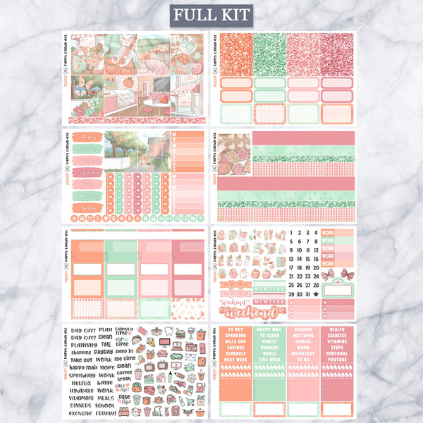 EC Kit Peachy // Weekly Planner Stickers Kit // Erin Condren